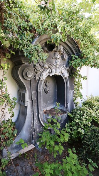 Detail auf dem Grundstück